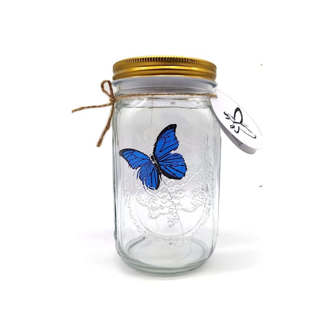 [$35 OFF] || Butterfly in a Jar - Low in Stock